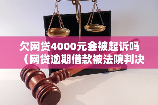 欠网贷4000元会被起诉吗（网贷逾期借款被法院判决如何应对）