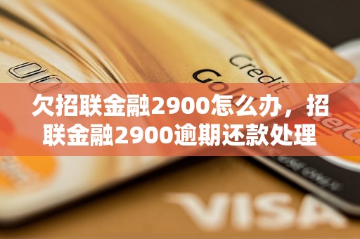 欠招联金融2900怎么办，招联金融2900逾期还款处理建议