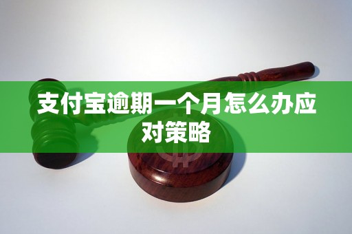 支付宝逾期一个月怎么办应对策略