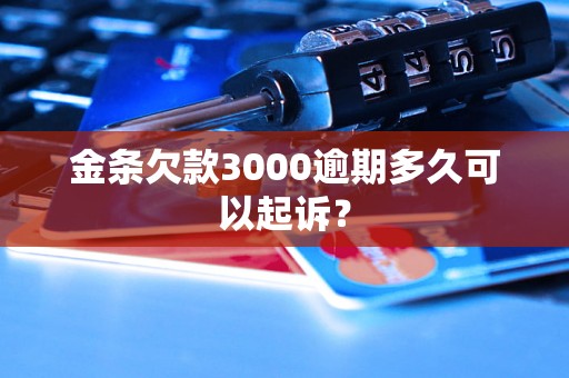 金条欠款3000逾期多久可以起诉？