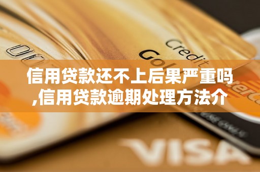 信用贷款还不上后果严重吗,信用贷款逾期处理方法介绍