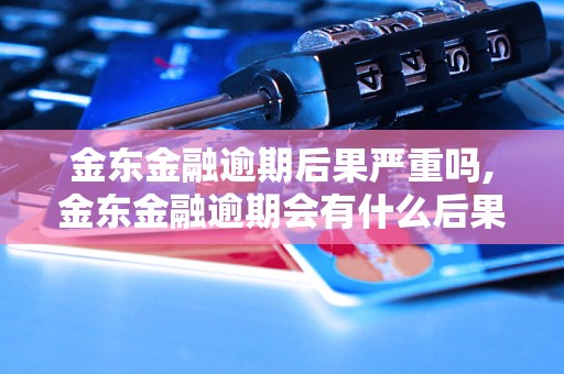 金东金融逾期后果严重吗,金东金融逾期会有什么后果