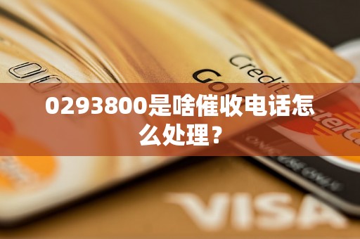 0293800是啥催收电话怎么处理？