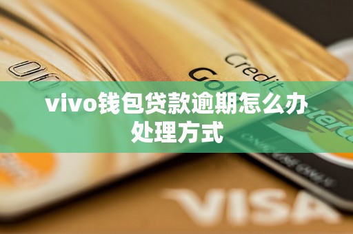 vivo钱包贷款逾期怎么办处理方式