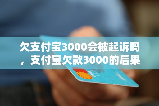 欠支付宝3000会被起诉吗，支付宝欠款3000的后果是什么