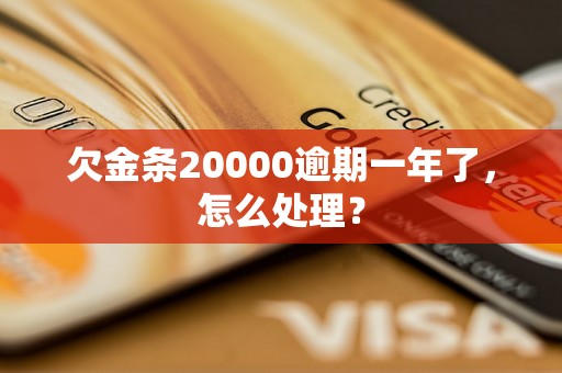 欠金条20000逾期一年了，怎么处理？