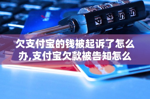 欠支付宝的钱被起诉了怎么办,支付宝欠款被告知怎么应对