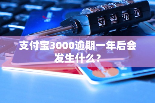 支付宝3000逾期一年后会发生什么？