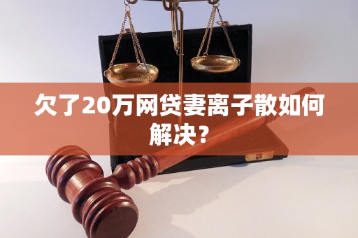 欠了20万网贷妻离子散如何解决？