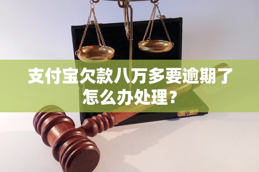 支付宝欠款八万多要逾期了怎么办处理？