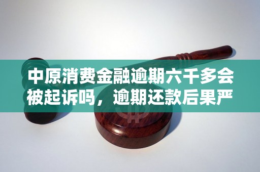 中原消费金融逾期六千多会被起诉吗，逾期还款后果严重吗