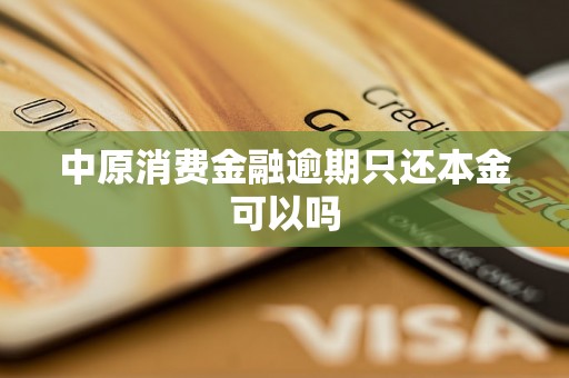 中原消费金融逾期只还本金可以吗