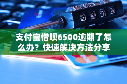 支付宝借呗6500逾期了怎么办？快速解决方法分享