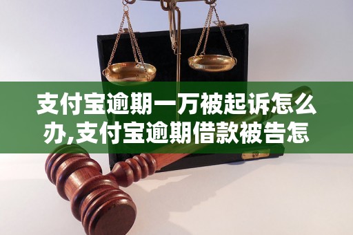 支付宝逾期一万被起诉怎么办,支付宝逾期借款被告怎么应对