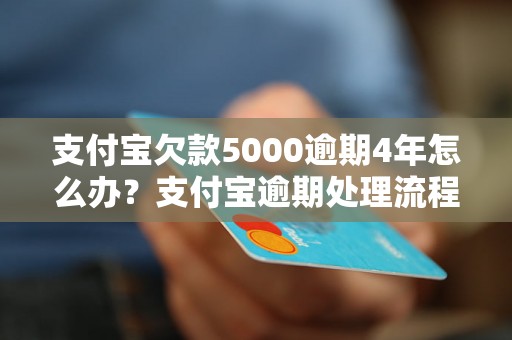 支付宝欠款5000逾期4年怎么办？支付宝逾期处理流程详解