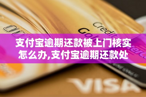 支付宝逾期还款被上门核实怎么办,支付宝逾期还款处理办法