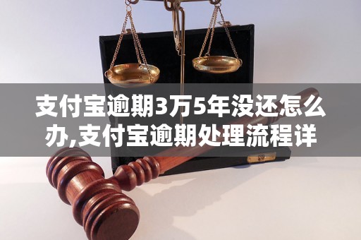 支付宝逾期3万5年没还怎么办,支付宝逾期处理流程详解