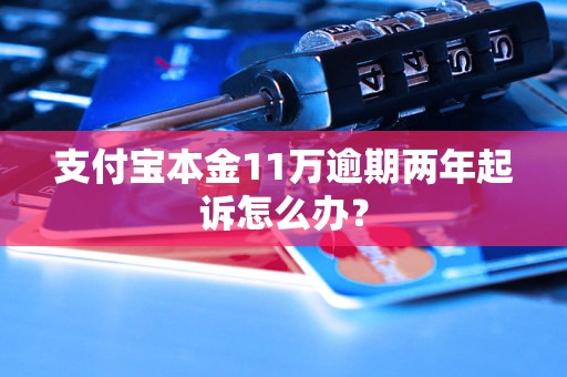 支付宝本金11万逾期两年起诉怎么办？