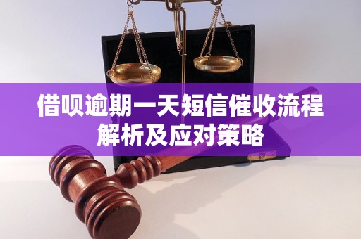 借呗逾期一天短信催收流程解析及应对策略