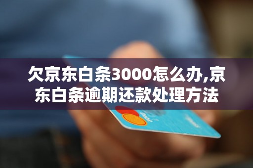 欠京东白条3000怎么办,京东白条逾期还款处理方法