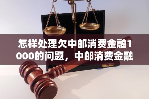 怎样处理欠中邮消费金融1000的问题，中邮消费金融还款方式介绍