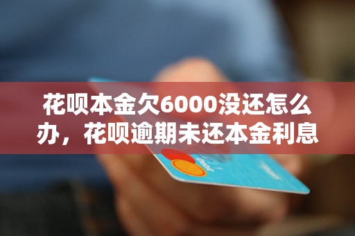 花呗本金欠6000没还怎么办，花呗逾期未还本金利息多少