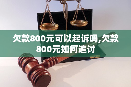 欠款800元可以起诉吗,欠款800元如何追讨