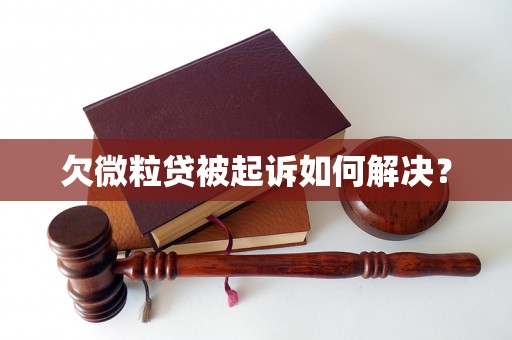 欠微粒贷被起诉如何解决？