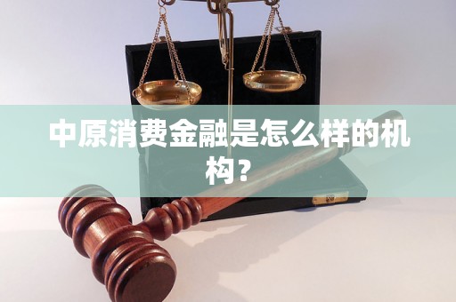 中原消费金融是怎么样的机构？