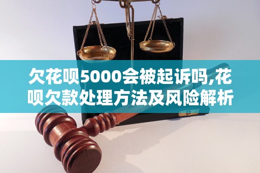 欠花呗5000会被起诉吗,花呗欠款处理方法及风险解析