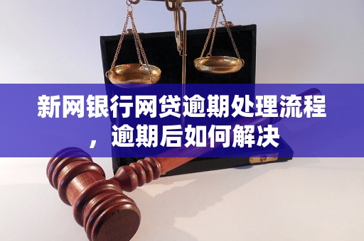 新网银行网贷逾期处理流程，逾期后如何解决