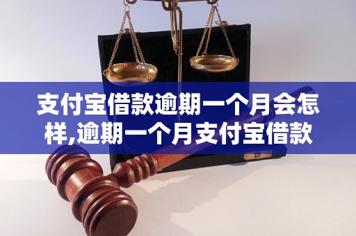 支付宝借款逾期一个月会怎样,逾期一个月支付宝借款后果严重吗