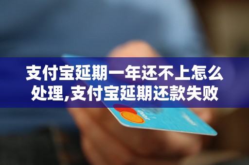 支付宝延期一年还不上怎么处理,支付宝延期还款失败怎么办