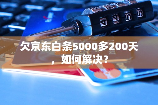 欠京东白条5000多200天，如何解决？