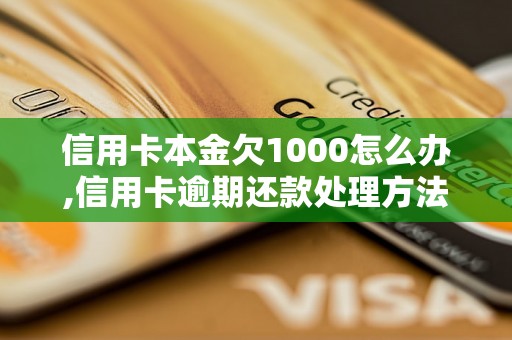 信用卡本金欠1000怎么办,信用卡逾期还款处理方法