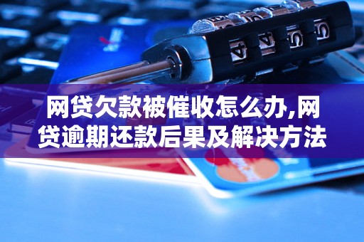 网贷欠款被催收怎么办,网贷逾期还款后果及解决方法