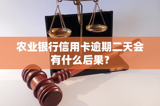 农业银行信用卡逾期二天会有什么后果？