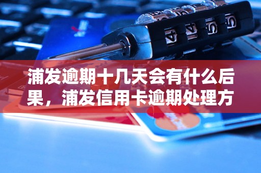 浦发逾期十几天会有什么后果，浦发信用卡逾期处理方式