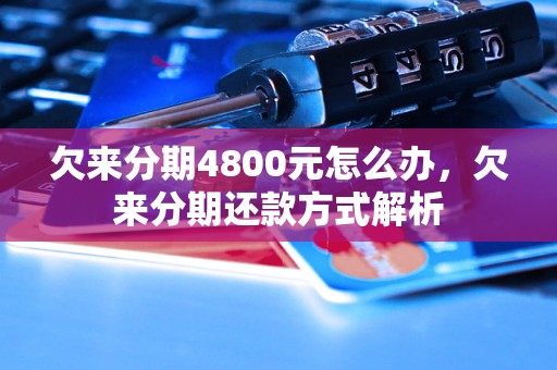 欠来分期4800元怎么办，欠来分期还款方式解析