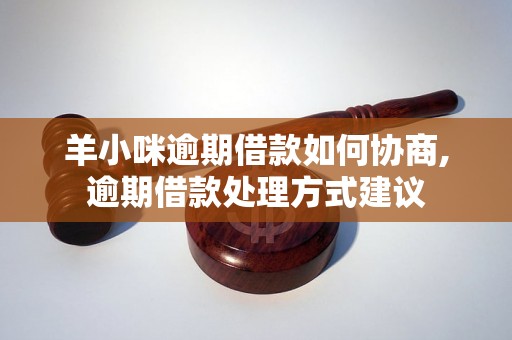 羊小咪逾期借款如何协商,逾期借款处理方式建议