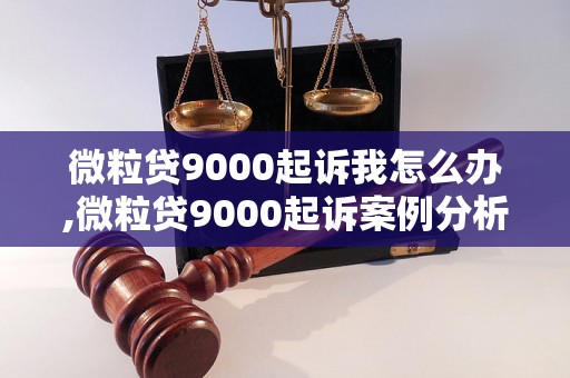 微粒贷9000起诉我怎么办,微粒贷9000起诉案例分析