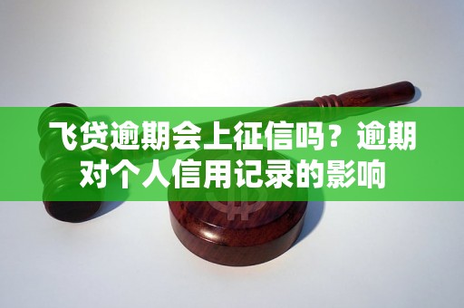 飞贷逾期会上征信吗？逾期对个人信用记录的影响