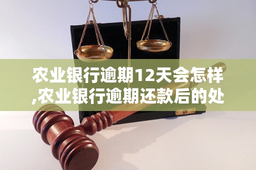 农业银行逾期12天会怎样,农业银行逾期还款后的处理方式