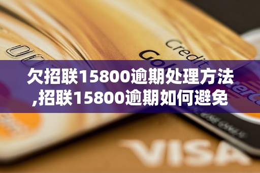 欠招联15800逾期处理方法,招联15800逾期如何避免立案