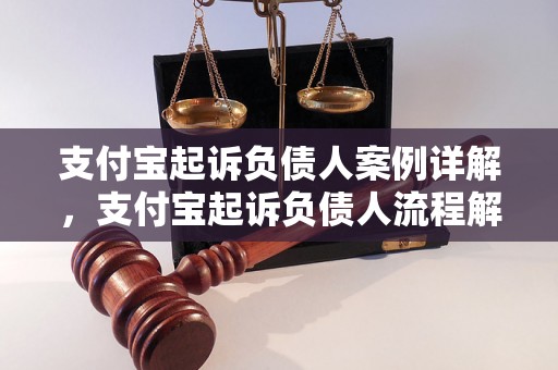 支付宝起诉负债人案例详解，支付宝起诉负债人流程解析