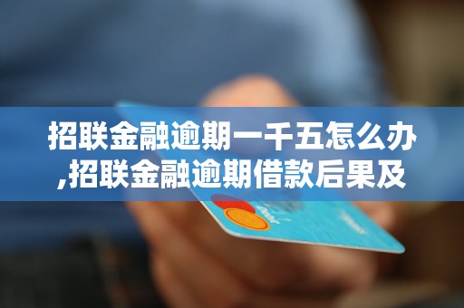 招联金融逾期一千五怎么办,招联金融逾期借款后果及处理方式