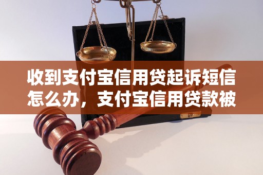 收到支付宝信用贷起诉短信怎么办，支付宝信用贷款被起诉怎么处理