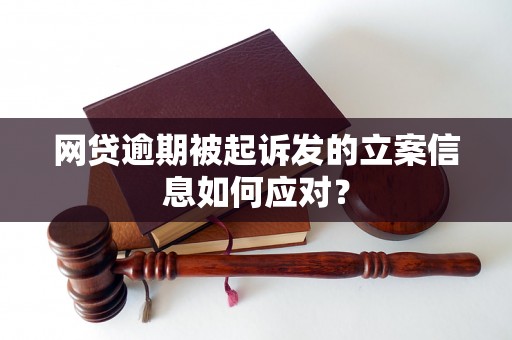 网贷逾期被起诉发的立案信息如何应对？