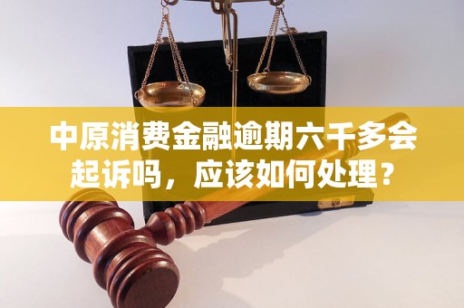 中原消费金融逾期六千多会起诉吗，应该如何处理？