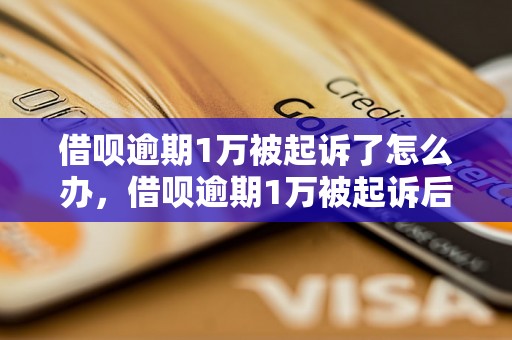 借呗逾期1万被起诉了怎么办，借呗逾期1万被起诉后的处理方法